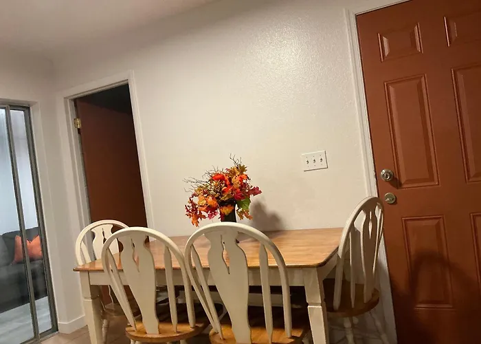 Arizona Cactus