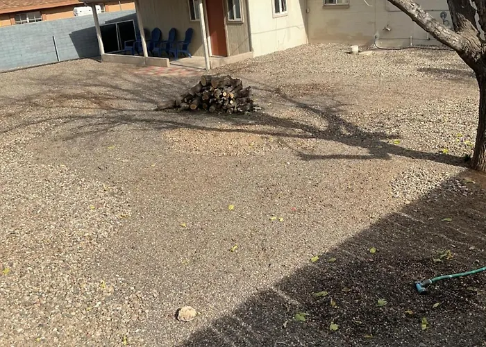Arizona Cactus